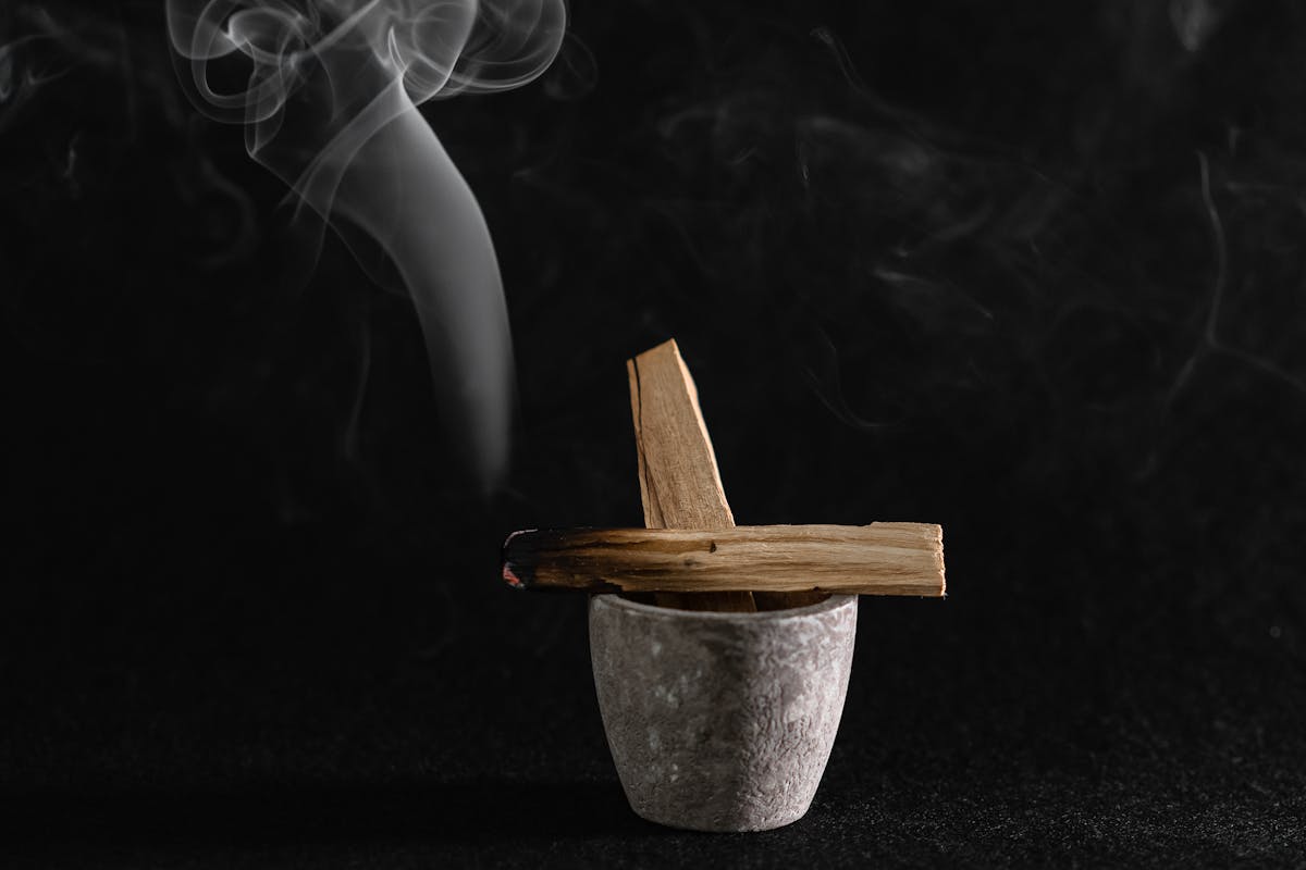 Palo Santo: Nature’s sacred treasure